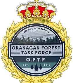OFTF Cleanup: Peachland (Sanderson Ave.)