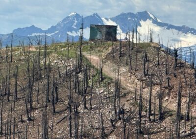 Lavina Firetower Rebuild Donation